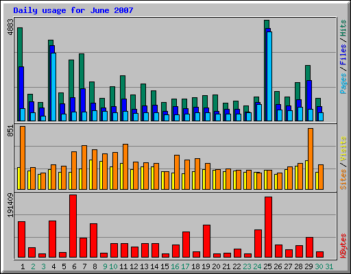 Daily usage for June 2007