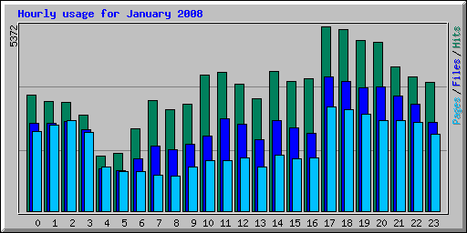 Hourly usage for January 2008